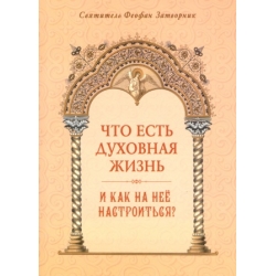 Что есть духовная жизнь и как на нее настроиться? Что есть духовная жизнь и как на нее настроиться?